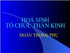 Hoá sinh tổ chức thần kinh - Đoàn Trọng Phụ