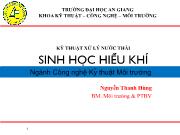 Kỹ thuật xử lý nước thải sinh học hiếu khí