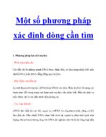 Một số phương pháp xác định dòng cần tìm