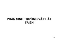 Phần sinh trưởng và phát triển