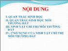 Quan trắc sinh học và sinh vật chỉ thị môi trường đất