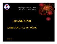 Quang sinh ánh sáng và sự sống