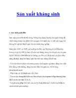 Sản xuất kháng sinh