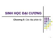 Sinh học đại cương - Chương II: Các đại phân tử