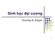 Sinh học đại cương - Chương III: Enzym