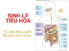 Sinh lý tiêu hóa - Đào Mai Luyến