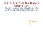 Sự ảnh hưởng của biến đổi khí hậu và ô nhiễm môi trường đến san hô