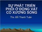 Sự phát triển phôi ở động vật có xương sống