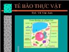 Tế bào thực vật - ThS. Vũ Vân Anh