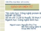 Tiết 10 - Cấu trúc protein