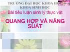 Tiểu luận Bài sinh lý thực vật quang hợp và năng suất