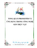 Tổng quan promoter và ứng dụng trong công nghệ gen thực vật