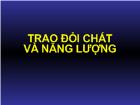 Trao đổi chất và năng lượng