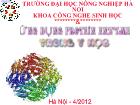 Ứng dụng Protein enzyme trong y học