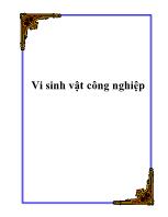 Vi sinh vật công nghiệp