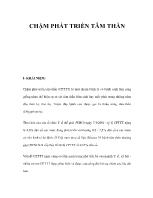 Bài giảng Chậm phát triển tâm thần (tiếp)