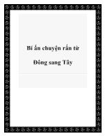 Bí ẩn chuyện rắn từ Đông sang Tây