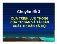 Chuyên đề Quá trình lưu thông của tư bản và tái sản xuất tư bản xã hội