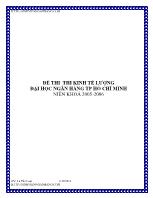 Đề thi thi kinh tế lượng đại học ngân hàng TP Hồ Chí Minh niên khoá 2005 - 2006