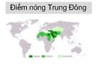 Điểm nóng Trung Đông