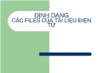 Định dạng các files của tài liệu điện tử