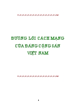 Đường lối cách mạng của đảng cộng sản Việt Nam