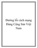 Đường lối cách mạng Đảng Cộng Sản Việt Nam