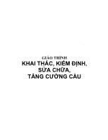 Giáo trình khai thác, kiểm định, sửa chữa, tăng cường cầu