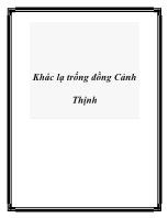 Khác lạ trống đồng Cảnh Thịnh