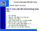 Kinh tế vĩ mô - Bài 3: Các vấn đề môi trường toàn cầu