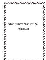 Nhận diện và phân loại bài tổng quan