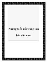 Những biến đổi trong văn hóa Việt Nam