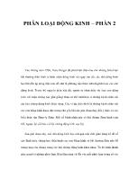 Phân loại động kinh