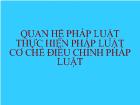 Quan hệ pháp luật thực hiện pháp luật cơ chế điều chỉnh pháp luật