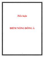 Tiểu luận Điểm nóng Đông Á