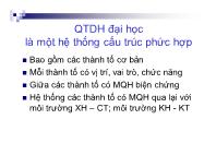 Tìm hiểu về quy trình day học đại học