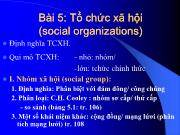 Tổ chức xã hội