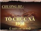 Tổ chức xã hội