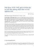 Việt Nam 1918 - 1945, giới và hiện đại: sự trỗi dậy những nhận thức và trải nghiệm mới