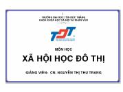 Xã hội học đô thị