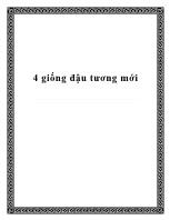 4 giống đậu tương mới