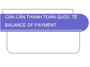 Bài giảng Cán cân thanh toán quốc tế balance of payment (tiếp)