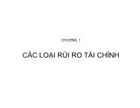 Bài giảng Chương 1: Các loại rủi ro tài chính