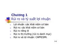 Bài giảng Chương 1: Rủi ro và tỷ suất lợi nhuận