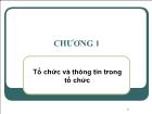 Bài giảng Chương 1: Tổ chức và thông tin trong tổ chức