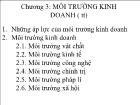 Bài giảng Chương 3: Môi trường kinh doanh (tiếp)