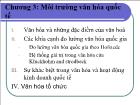 Bài giảng Chương 3: Môi trường văn hóa quốc tế (tiếp)