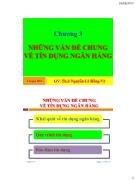 Bài giảng Chương 3: Những vấn đề chung về tín dụng ngân hàng - Nguyễn Lê Hồng Vỹ