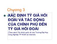 Bài giảng Chương 3: Xác định tỷ giá hối đoái và tác động của chính phủ đến tỷ giá hối đoái