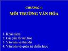 Bài giảng Chương 4: Môi trường văn hóa (tiếp theo)